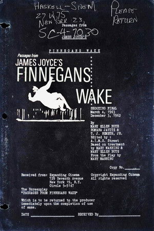 Passages from James Joyce's Finnegans Wake poszter