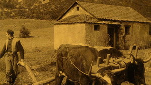 The Captive háttérkép
