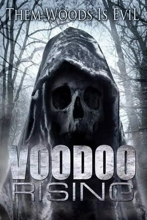 Voodoo Rising poszter