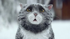 Sainsbury's: Mog's Christmas Calamity háttérkép