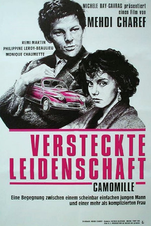 Camomille poszter