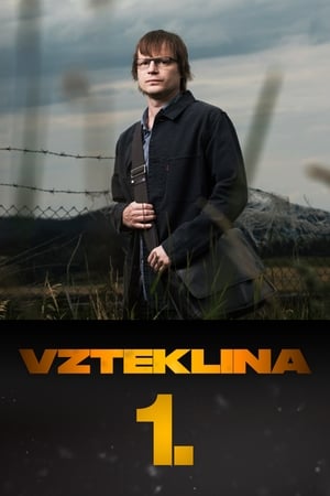 Vzteklina