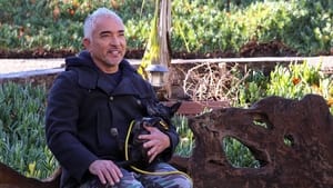 Cesar Millan: Jó gazdi, jó kutya 1. évad Ep.7 7. epizód