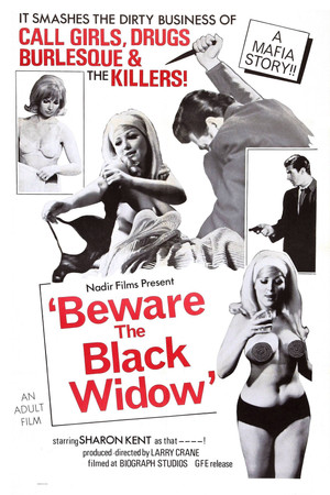 Beware the Black Widow poszter