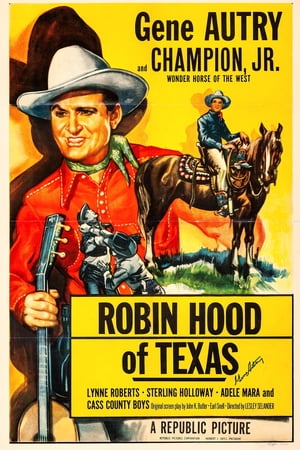 Robin Hood Of Texas poszter