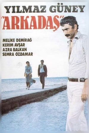 Arkadaş poszter