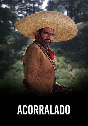 Acorralado poszter