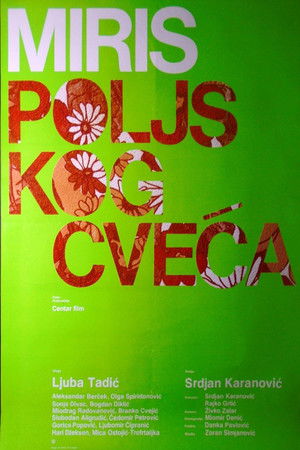 Miris poljskog cveća poszter