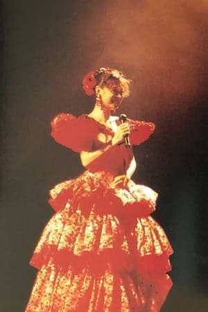 ～夢～‘91 Akina Nakamori Special Live poszter