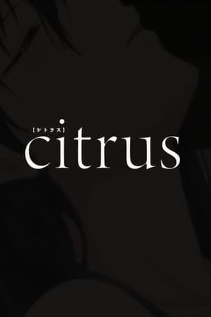 citrus poszter