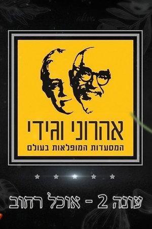 המסע המופלא של אהרוני וגידי
