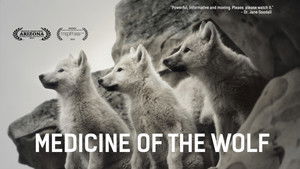 Medicine of the Wolf háttérkép