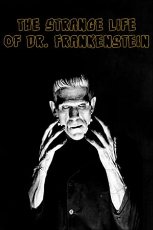 Le Funeste Destin du docteur Frankenstein poszter