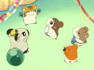 とっとこハム太郎 Season 1 Ep.14 14. epizód
