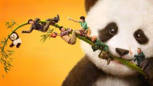Panda projekt háttérkép