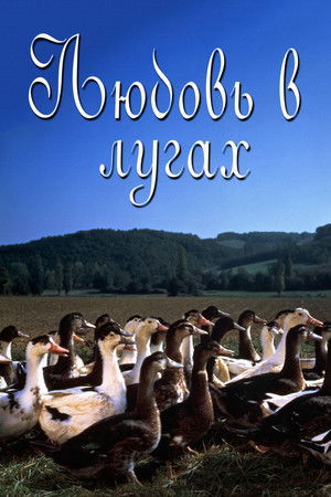 Boldogság a réten poszter