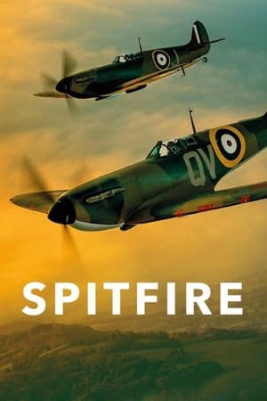 Spitfire poszter