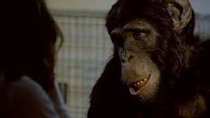 Amazing Ape háttérkép