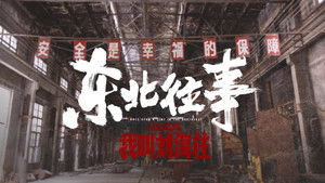 东北往事：我叫刘海柱 háttérkép