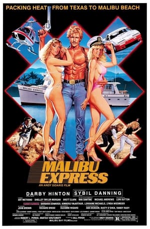 Malibu Express poszter