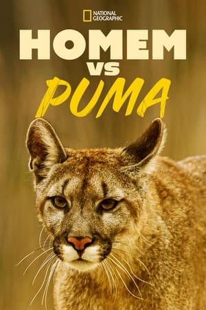 Man Vs. Puma poszter