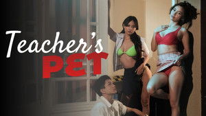 Teacher's Pet háttérkép