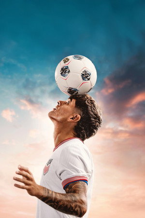 PULISIC poszter