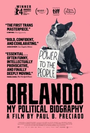 Orlando, ma biographie politique poszter