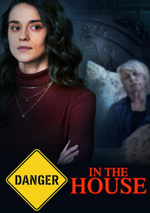 Danger in the House poszter