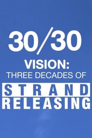 30/30 Vision: Three Decades of Strand Releasing poszter