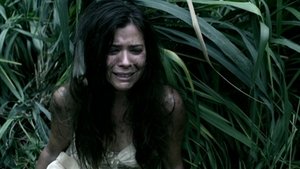 Hawaii Five-0 1. évad Ep.11 Nászutas paradicsom