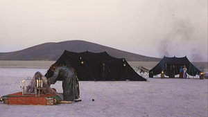 کشتزارهای سپید háttérkép