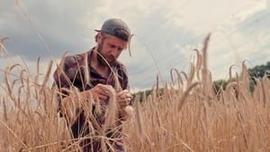 Zöld forradalom: A jövő farmjai kép