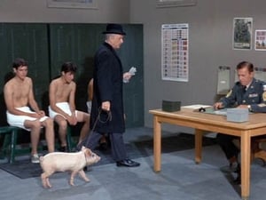 Green Acres Season 2 Ep.3 3. epizód