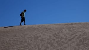 Le fils du désert háttérkép