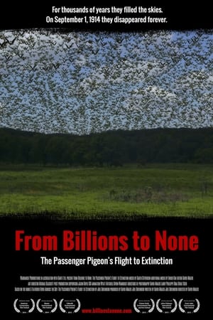 From Billions to None: The Passenger Pigeon's Flight to Extinction poszter