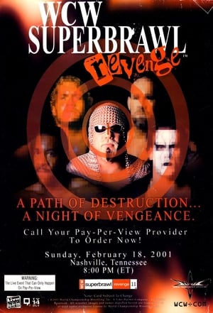 WCW SuperBrawl Revenge