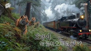취미는 과학 1. évad Ep.48 48. epizód