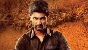 பூமராங் háttérkép