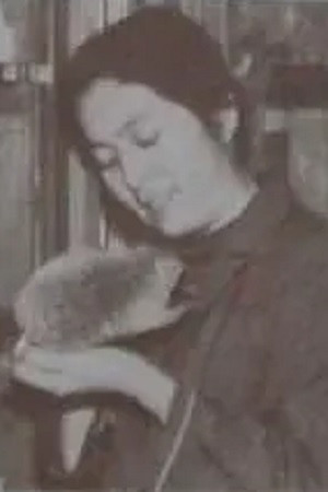 Qiqing Gaowa profil kép