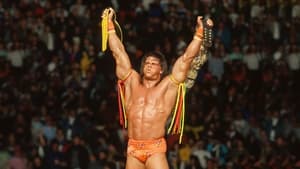 WWE WrestleMania VI háttérkép