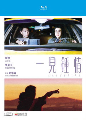 一見鍾情 poszter
