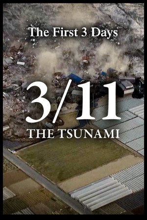 3/11 - The Tsunami: The First 3 Days poszter