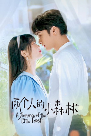 两个人的小森林 poszter