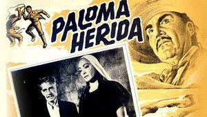 Paloma herida háttérkép