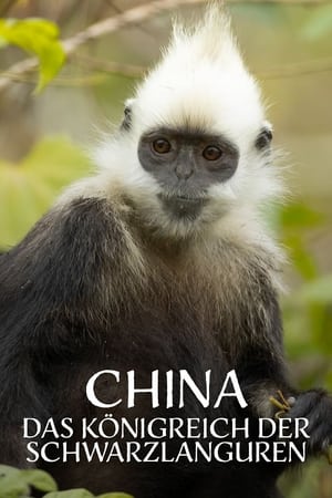 China's Secret Monkey Kingdom poszter