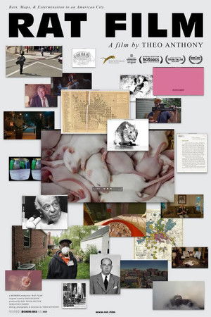 Rat Film poszter