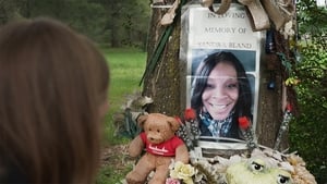 Say Her Name: The Life and Death of Sandra Bland háttérkép