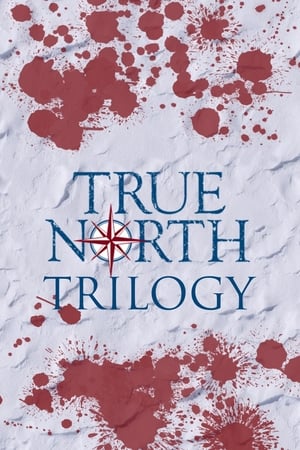 True North - Saga filmek