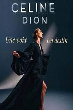 Céline Dion : une voix, un destin poszter